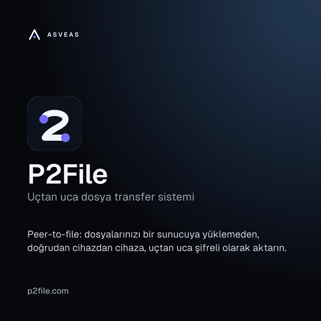 Ürün kartı — P2File